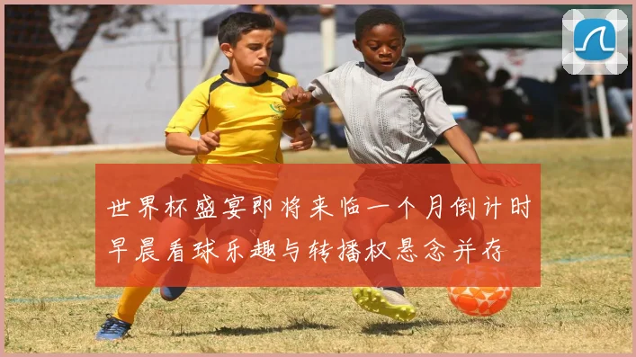 世界杯盛宴即将来临一个月倒计时早晨看球乐趣与转播权悬念并存